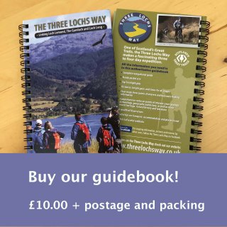 Buy our Guidebook!